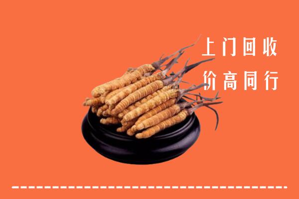 收购行情：北京市回收散虫草