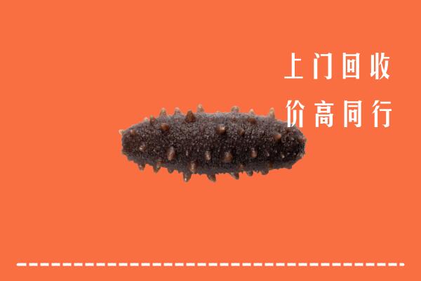 附近收购:北京市回收海参